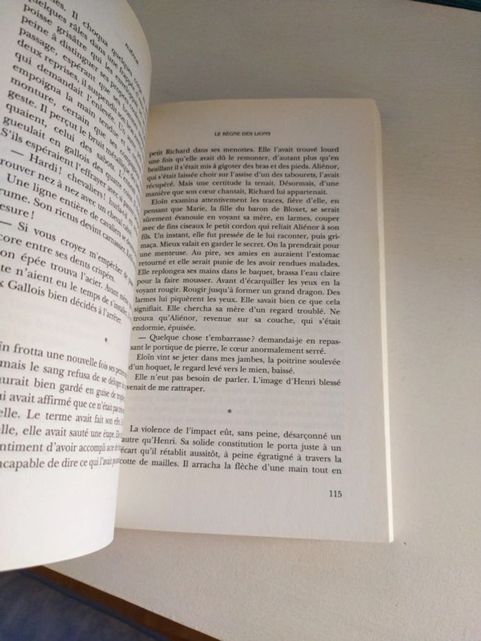 Aliénor de Mireille Calmel - photo numéro 7