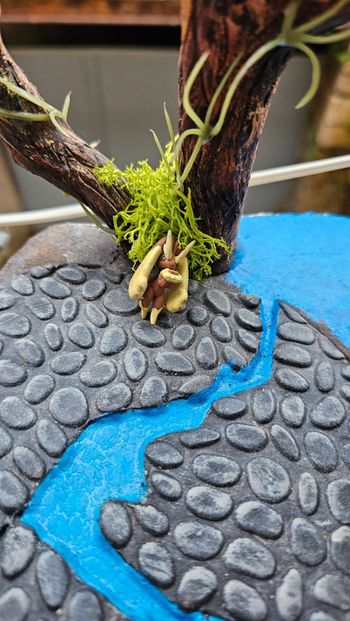 Super petite figurine Pokemon Nintendo lockpin