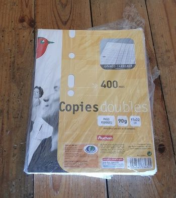 400 copies doubles grands carreaux