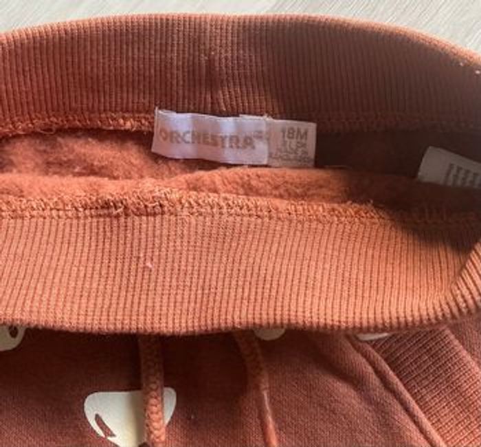 Jogging bébé orchestra. - photo numéro 3