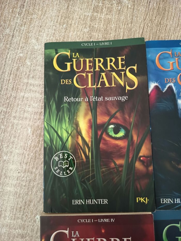 La guerre des clans - photo numéro 2