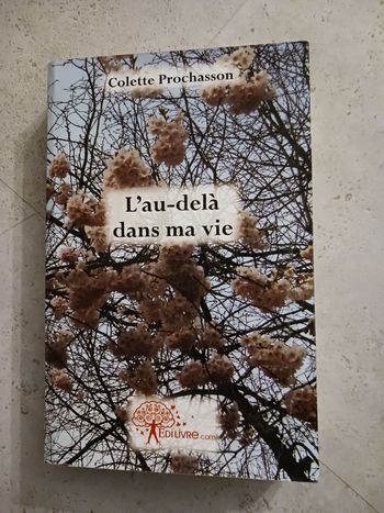 livre l'au delà dans la vie Colette Prochasson