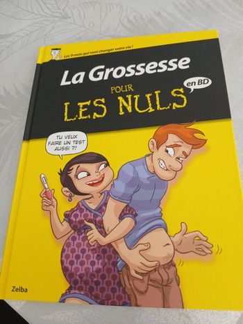 Livre La grossesse pour les nuls en BD
