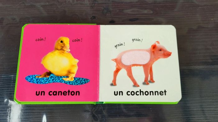 Livre à toucher - photo numéro 2