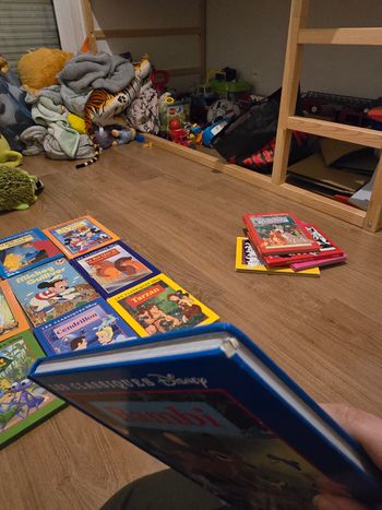 Livre disney