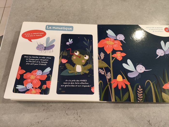 Livre musical bébé – Auzou Éveil – Animaux de la nuit - photo numéro 10