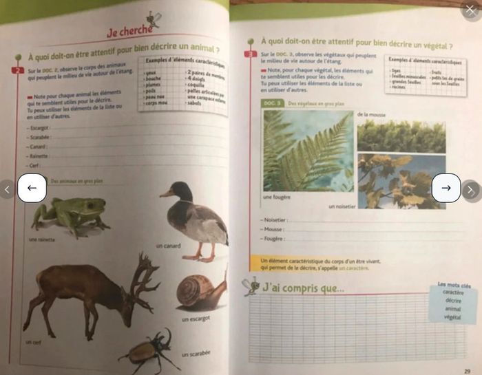 Les cahiers de la Luciole - Sciences CM1 - photo numéro 3
