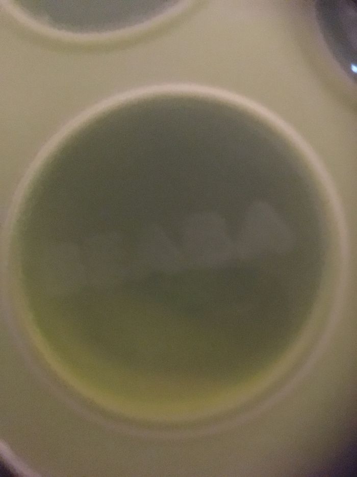 Moule Bebea - photo numéro 2