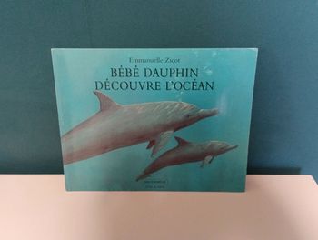 Bébé dauphin découvre l'océan