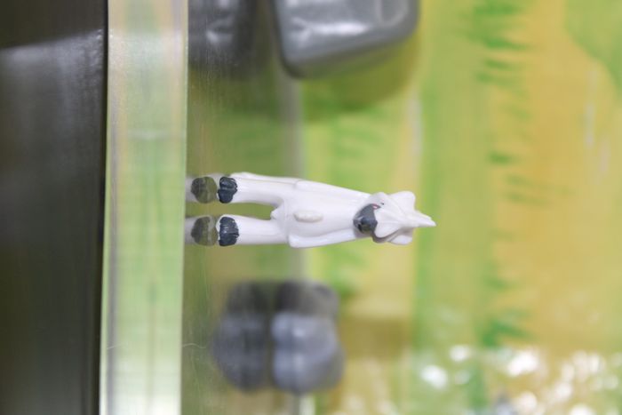 Pokemon Couafarel - photo numéro 3