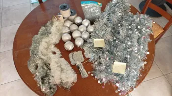 Lot de 21 articles de décoration pour Noël argent et blanc