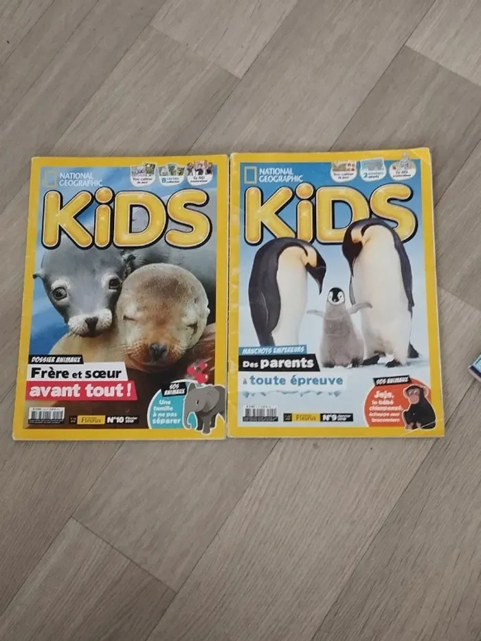 Lot de 26 livres BD et magazines enfants de 8 à 12 ans L100 - photo numéro 3