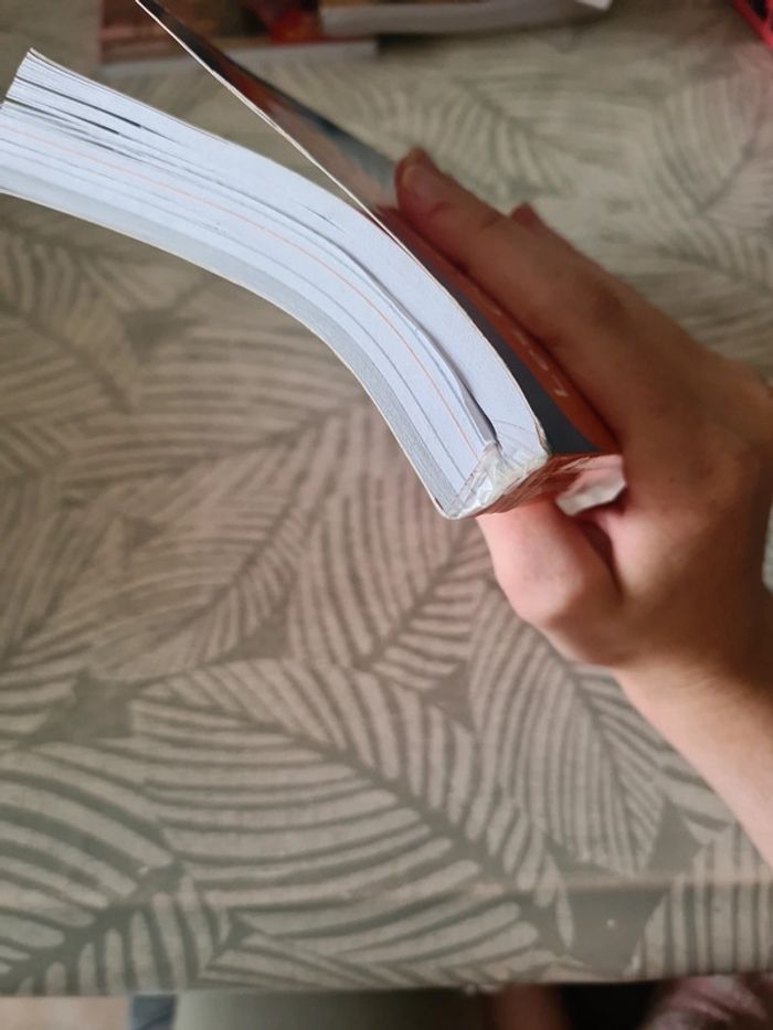 Les contemplations livre 1 à 4 VH - photo numéro 3