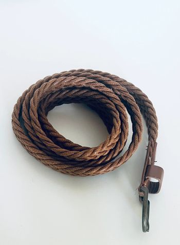 Ceinture Camel