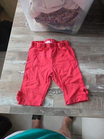 Lot short 12 mois
