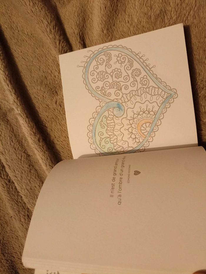 Petit livre à colorier - photo numéro 4