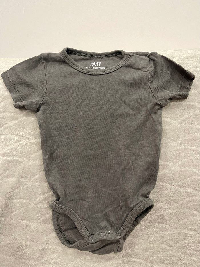 Lot de 4 bodies manches courtes - photo numéro 4