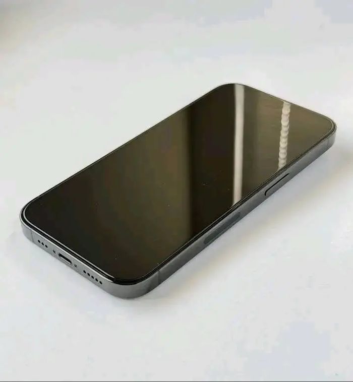 Iphone _15_pro_max - photo numéro 3
