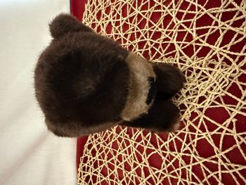 doudou ourson couché