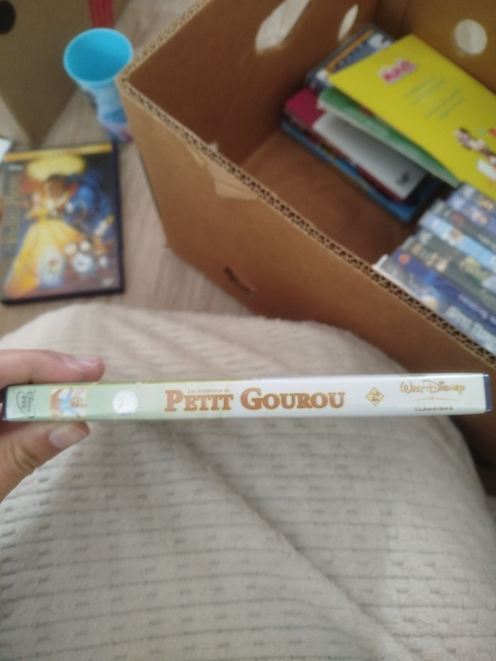 DVD Disney le petit gourou numéro 74 - photo numéro 3