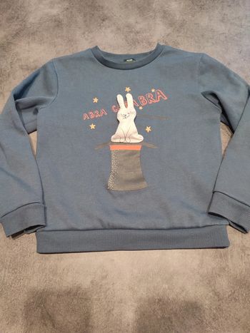Pull lapin