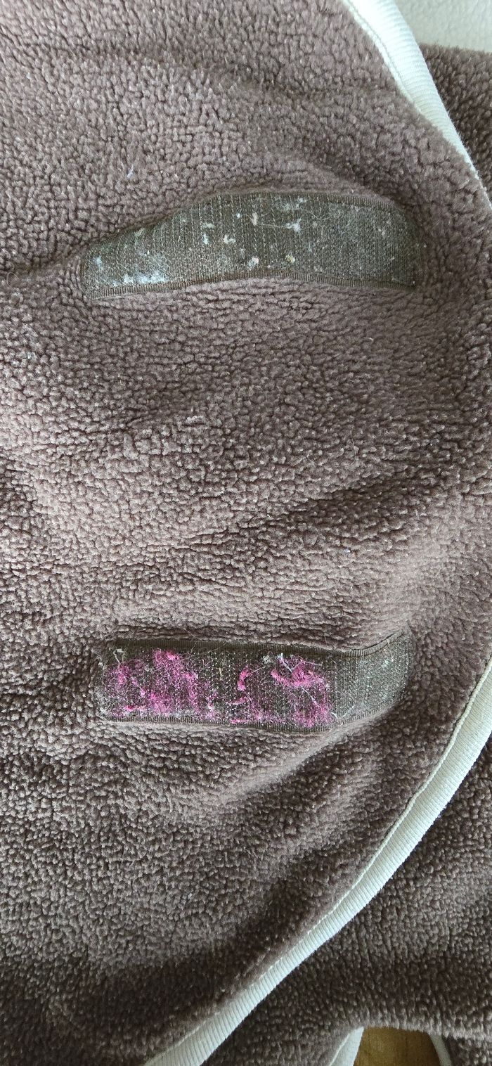 Nid d'ange 6 mois - photo numéro 6