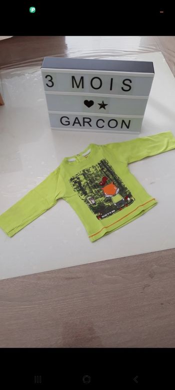 Tee-shirt vert renard