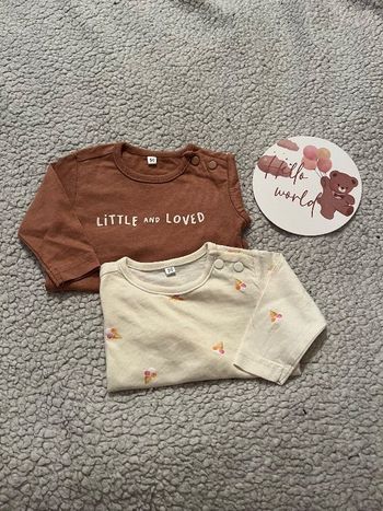 Lots de 2 tee shirt longue manche bébé fille