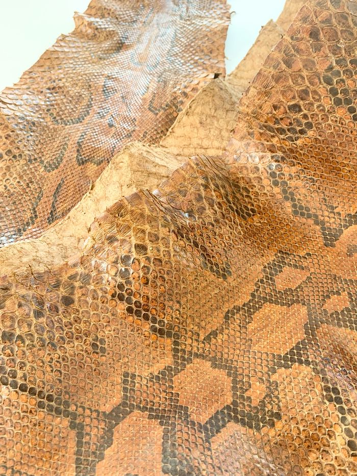 Véritable peau de serpent 🐍 tannée - photo numéro 3