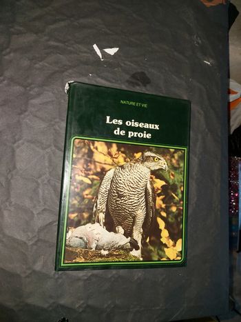 Les oiseaux de proie
