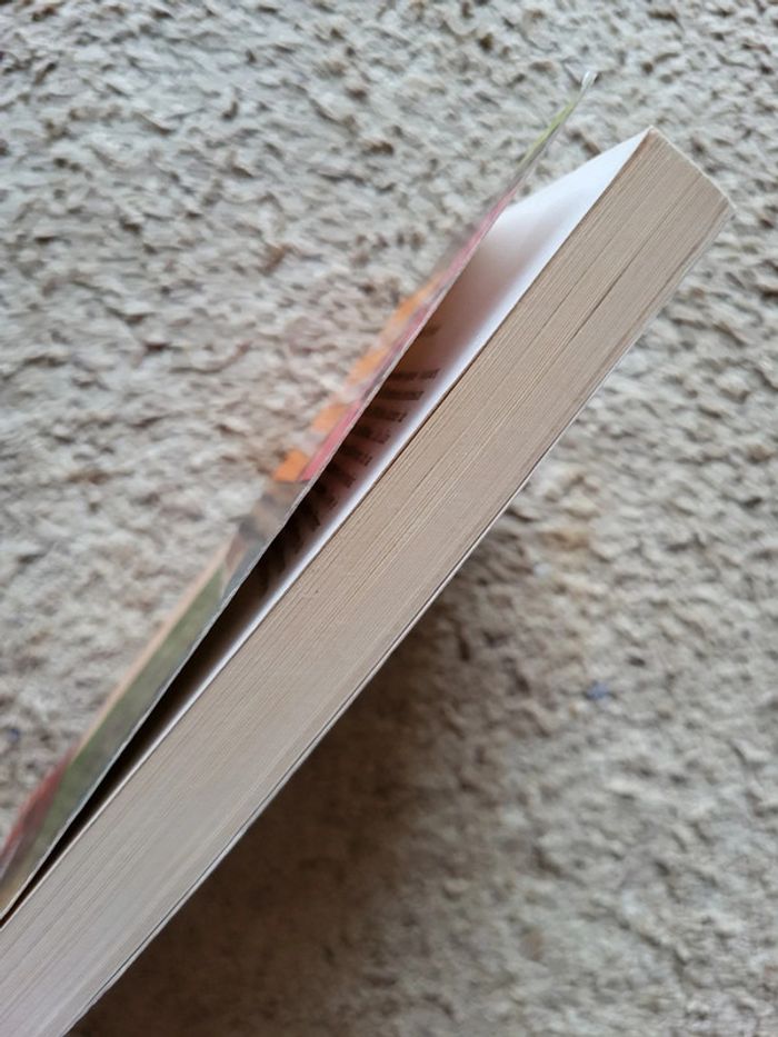 Roman Si j’ai bonne mémoire – Anne Icart - photo numéro 3