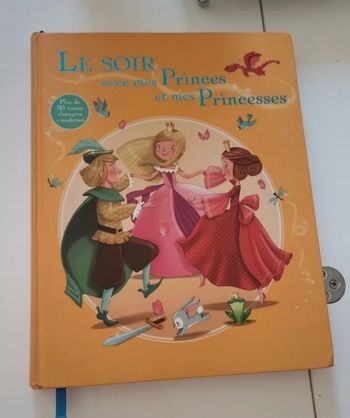 Histoire de prince et princesses