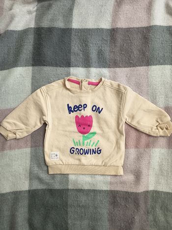 Pull 6 mois 