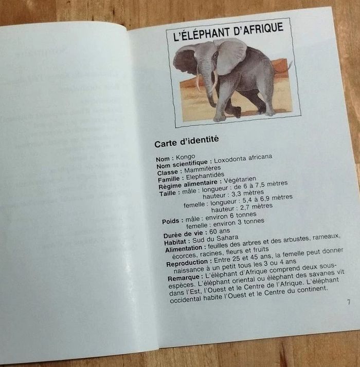 Livre enfant Kongo l'éléphant - 8 ans - photo numéro 3