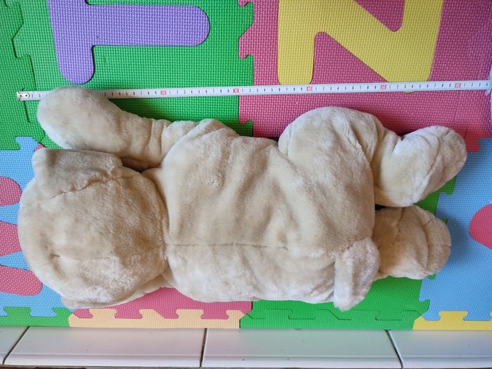 Chien - photo numéro 5