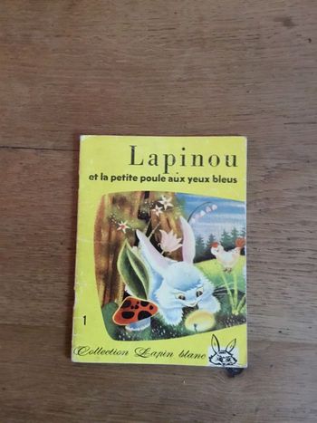 Livre « lapin ou et la petite poule aux yeux bleus »