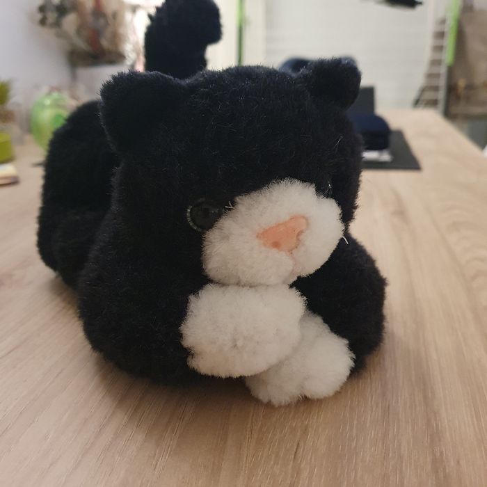 Petit chat noir et blanc - photo numéro 2