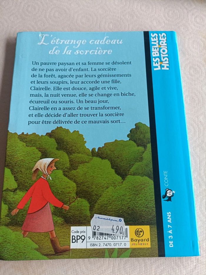 L étrange cadeau de la sorcière - photo numéro 2