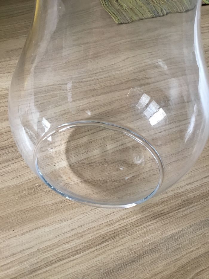 Terrarium - photo numéro 3