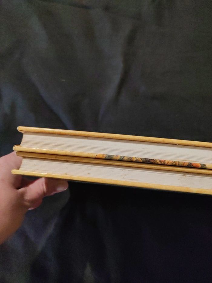 Lot La bible illustrée l'ancien et le nouveau testament - photo numéro 8