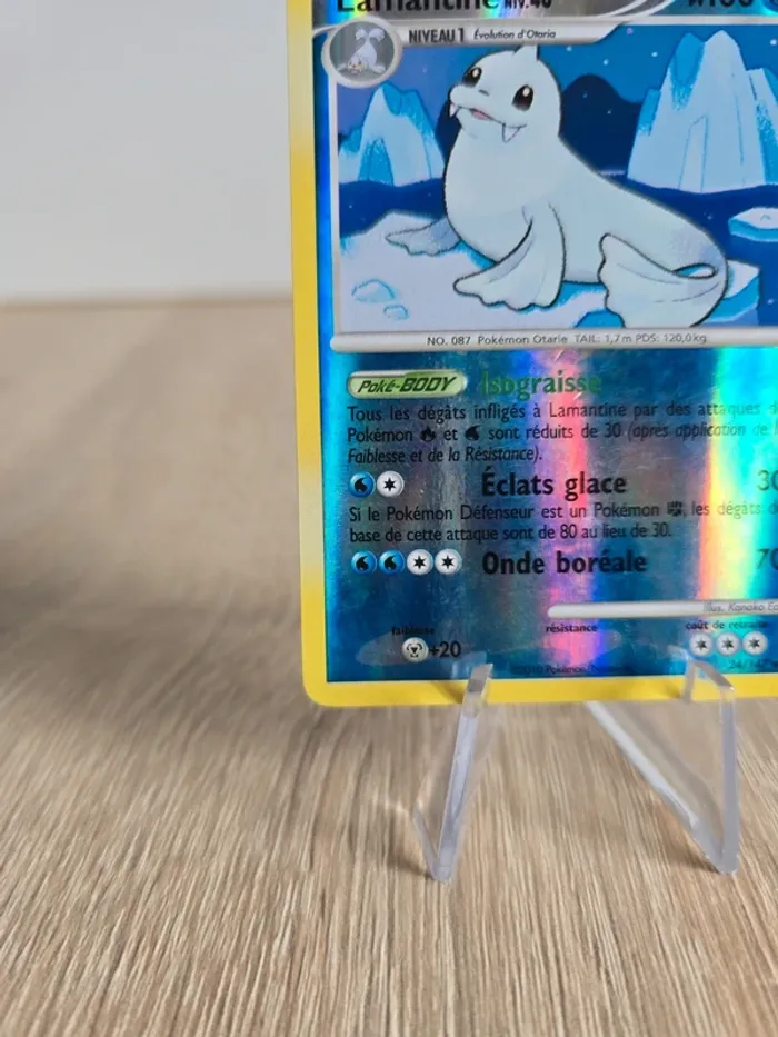 Lamantine 24/147 - photo numéro 5