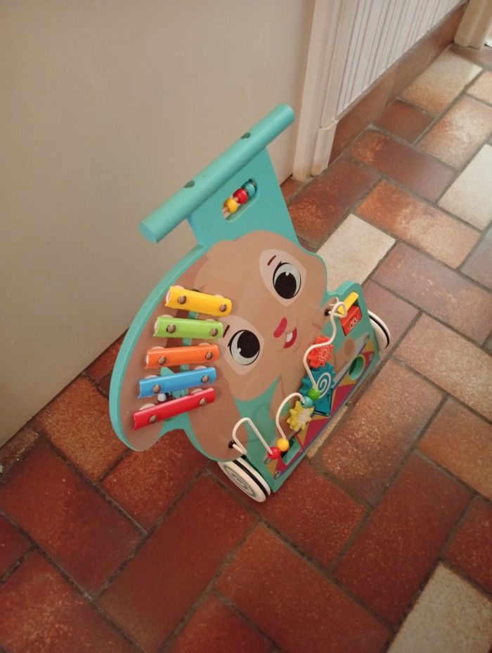 Chariot de marche - photo numéro 2