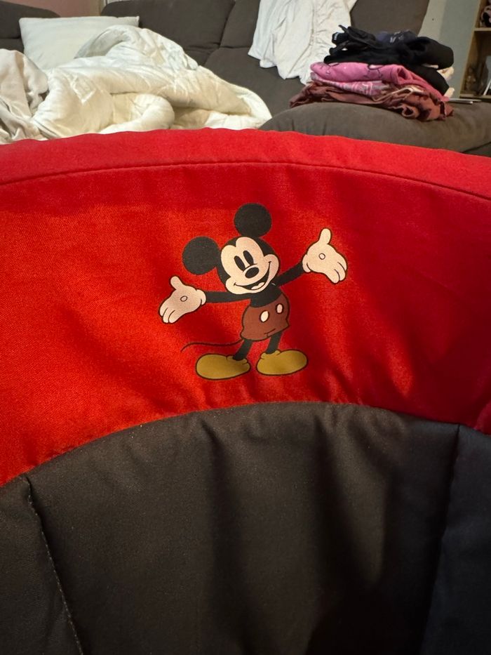 Trotteur - photo numéro 5