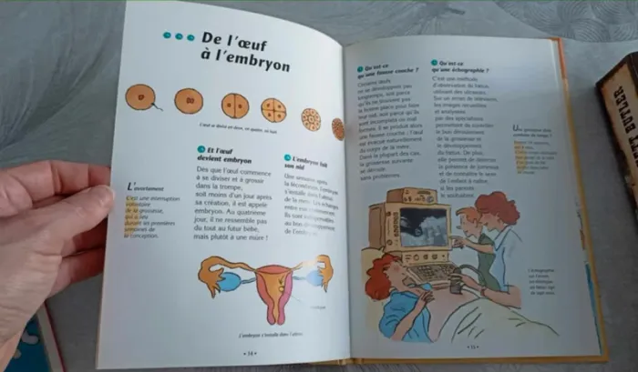 Livre documentaire Questions d'amour 8 - 11 ans editions nathan Très bon état - photo numéro 2