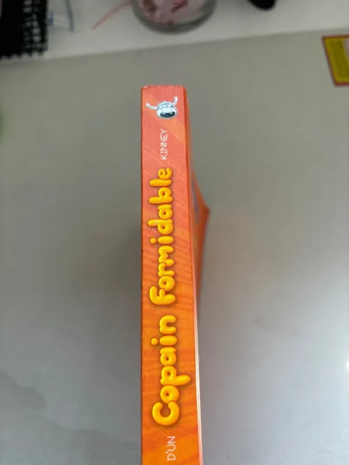 Livre les aventures d’un copain formidable - photo numéro 3