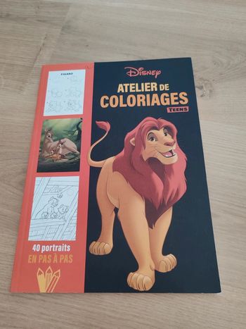 Livre coloriage Disney