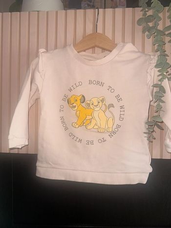 Sweat Disney 12/18 cm