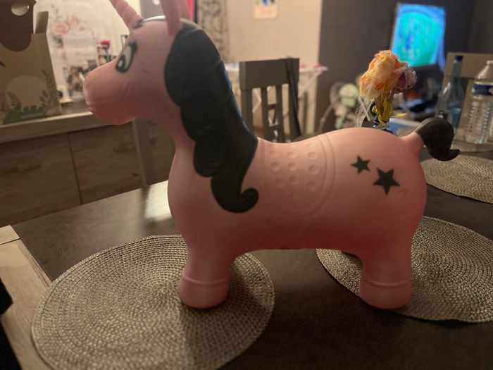 Licorne sauteuse - photo numéro 2