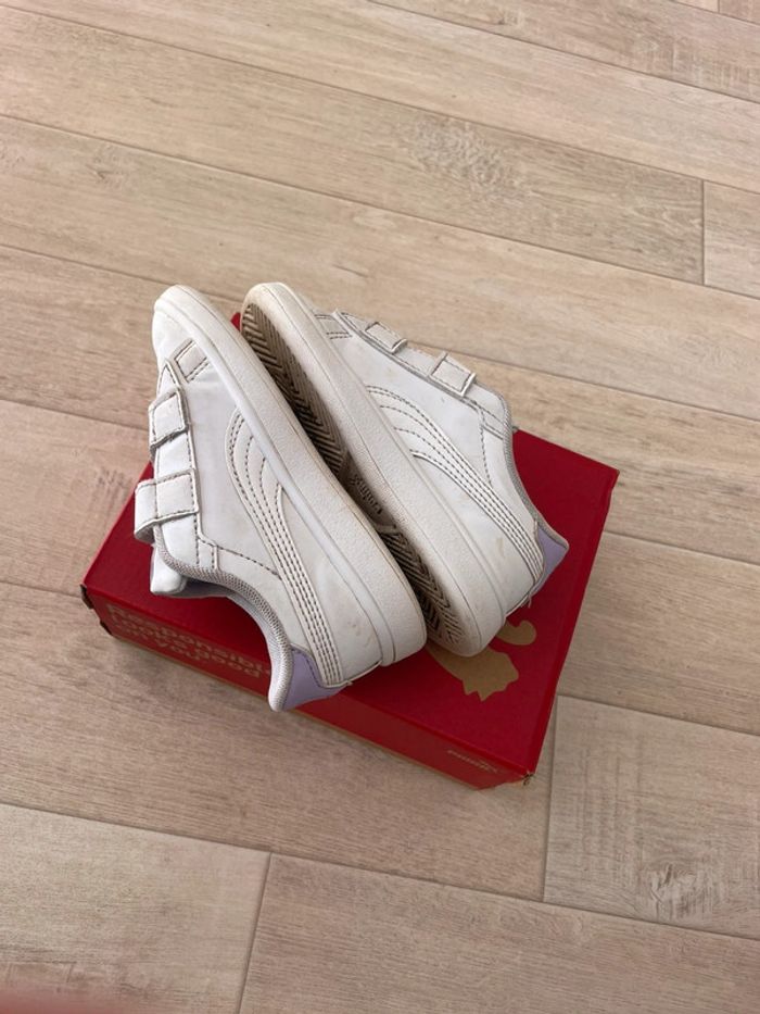Puma 24 (papillon violet) - photo numéro 3