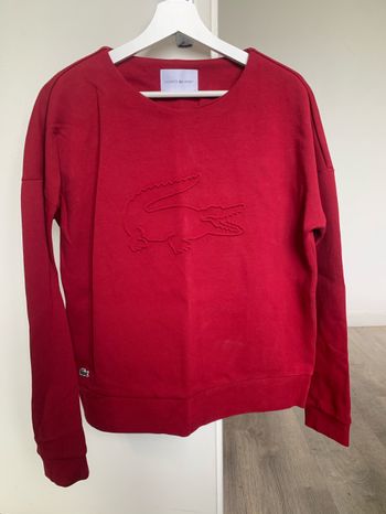 Pull. Lacoste. Femme